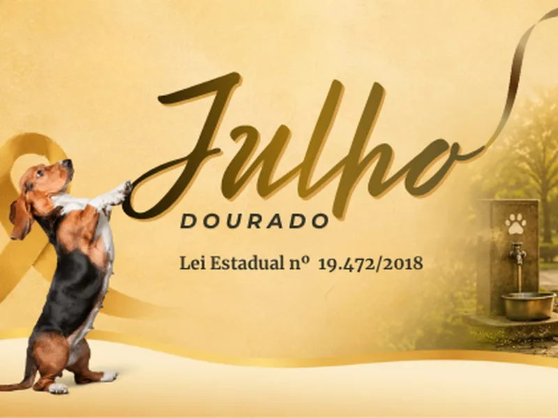 Julho Dourado reforça conscientização e mobilização em defesa da causa animal 1 Foto: Arte: Anne Botero