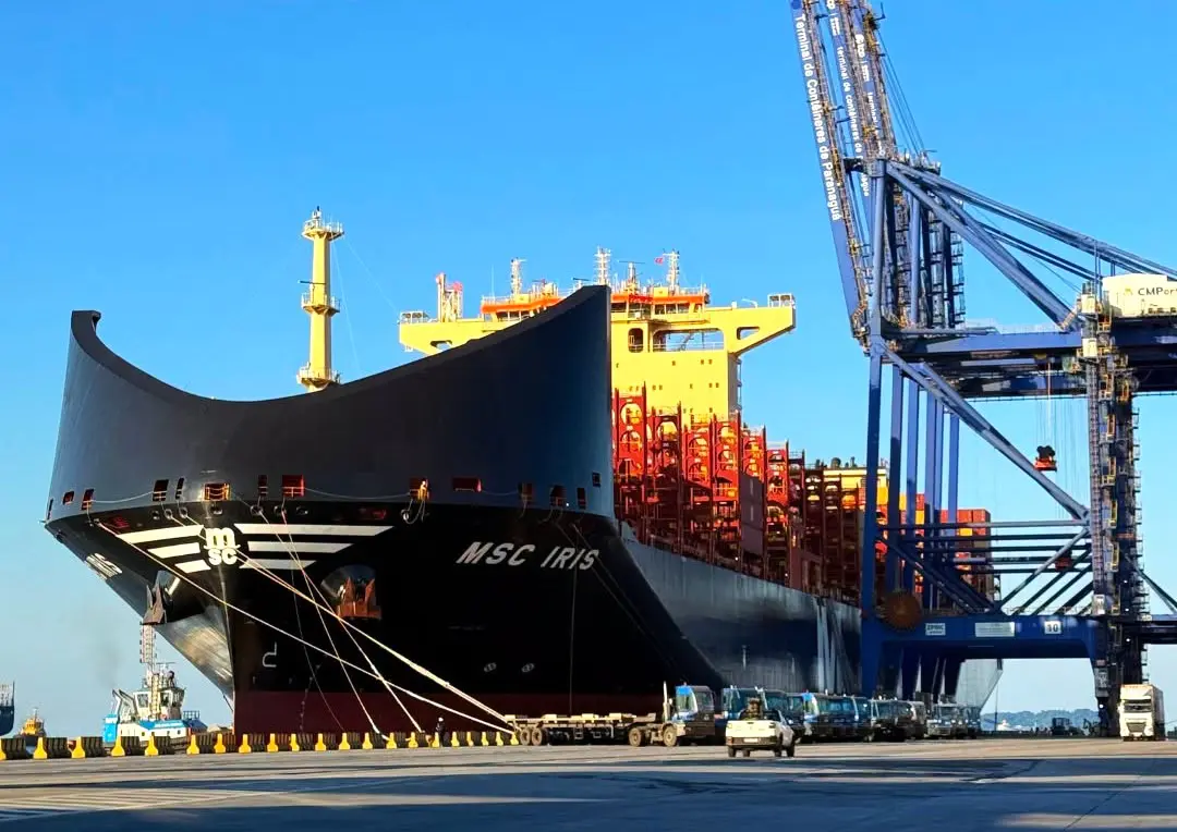 1 msc iris certa