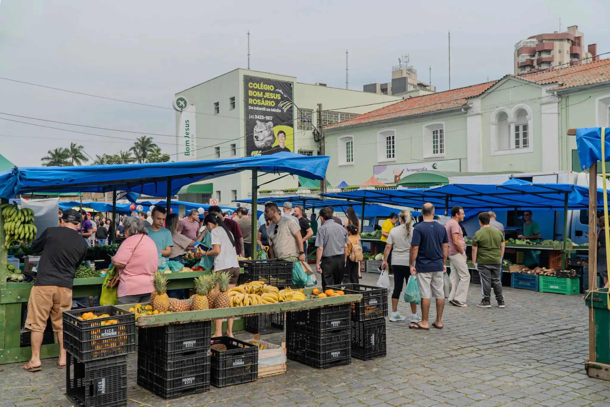 Feira do Agricultor de Paranaguá celebra 35 anos de tradição, trabalho e produção local 1 FOTO 01 2026 08 31T161250.308