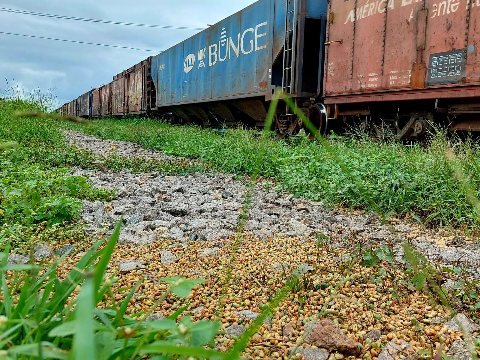 OPERAÇÃO KM5: Ação conjunta desarticula esquema de furto de cargas ferroviárias e receptação ligado ao tráfico de drogas em Paranaguá 1 foto01 48