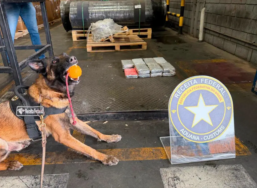 Além de um scanner de alta resolução, usado na fiscalização das cargas, os agentes contaram com o apoio do cão de faro Falcon – Foto: RFB