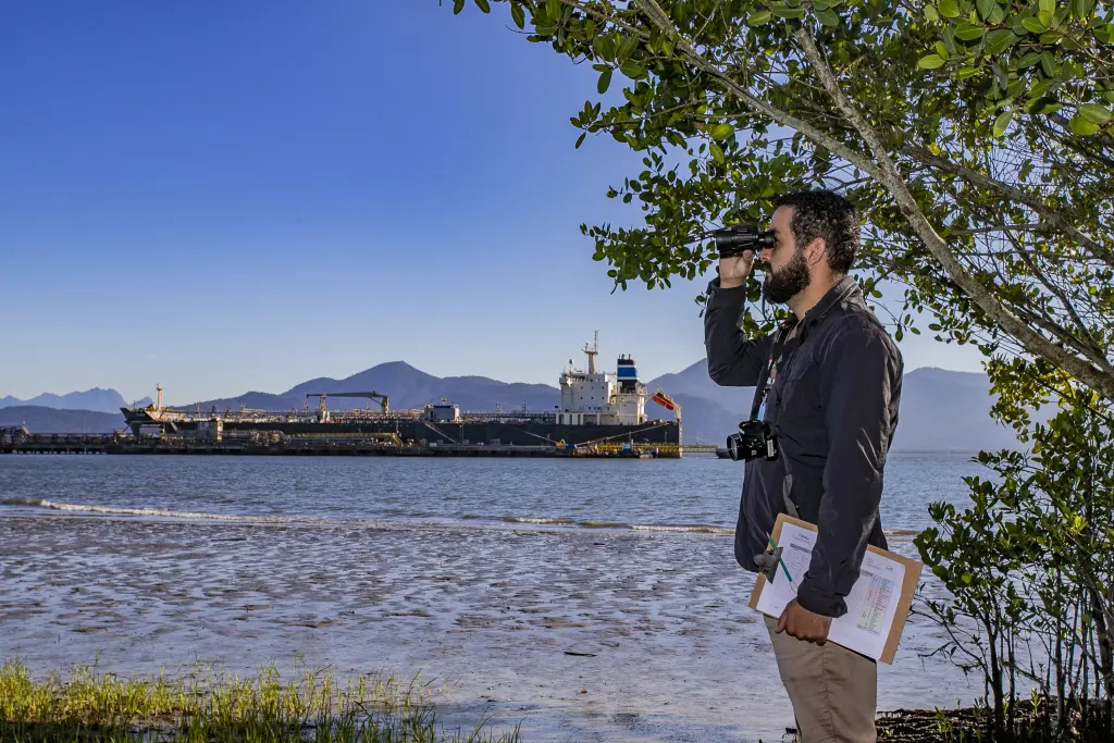 "Sentinelas" do ecossistema: Cerca de 25 mil aves são registradas no litoral do Paraná no primeiro semestre de 2026 2 2portoss