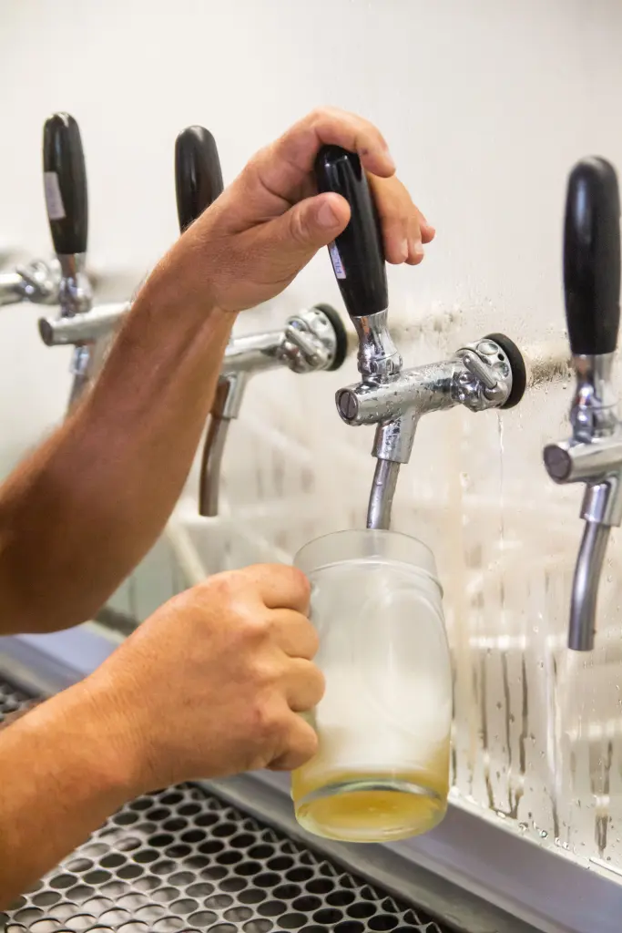 Largo Bier Fest terá três dias de música e gastronomia em Guaratuba 2 foto 2 47